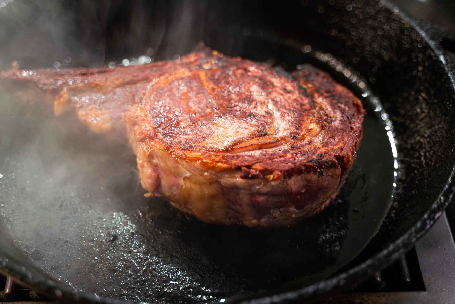 Cast iron sear best sale