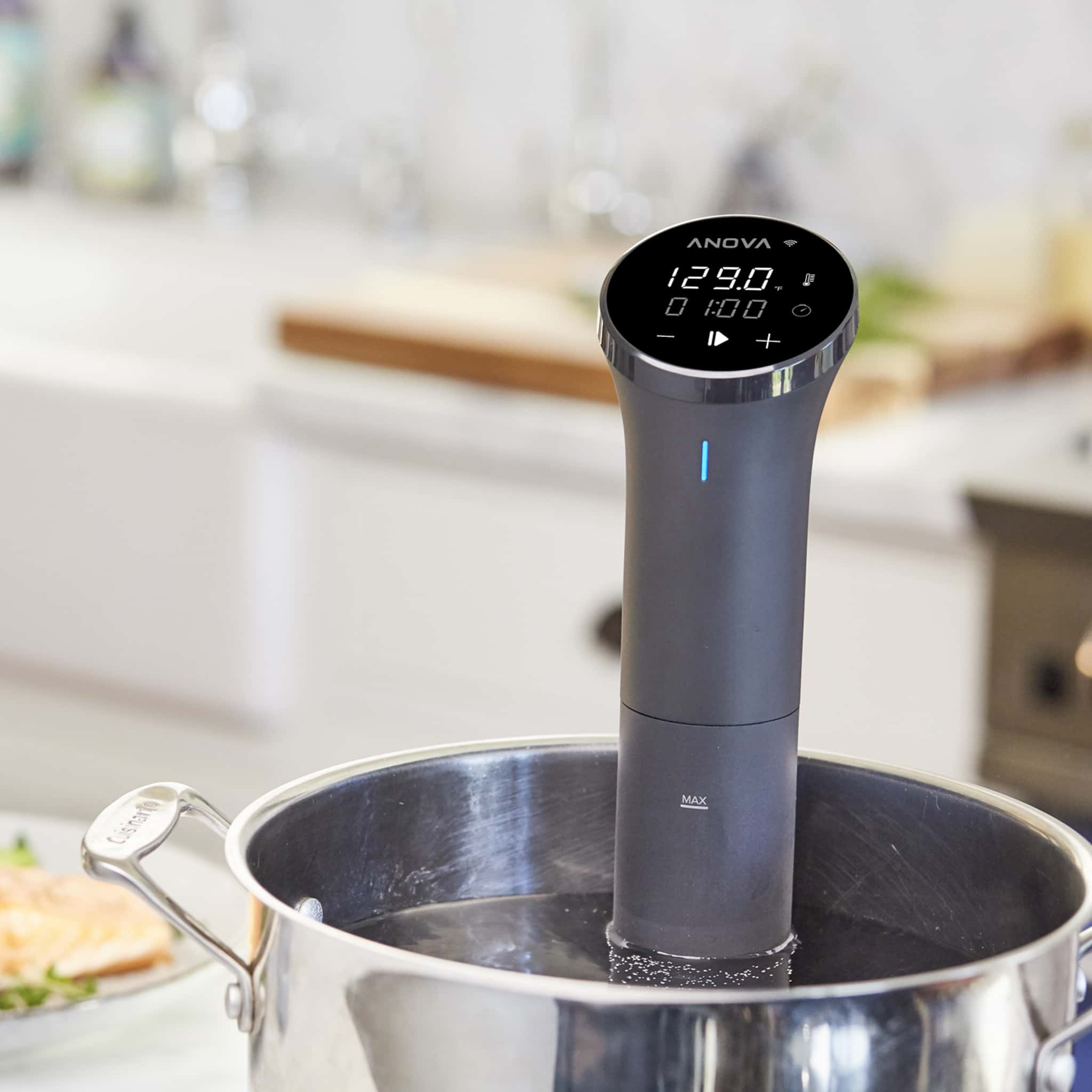 Anova Nano Precision Cooker top with Wi-Fi