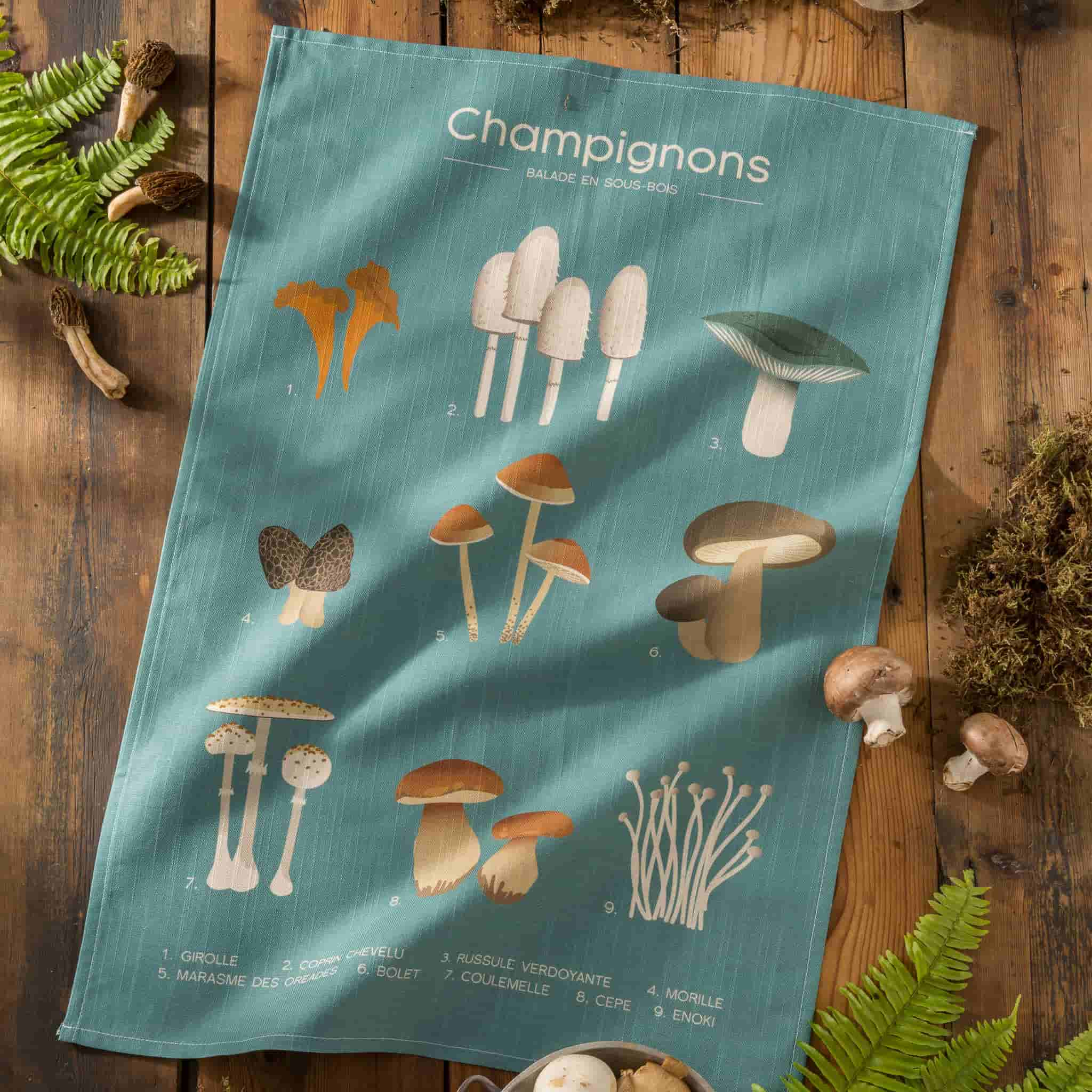 champignons-FrenchCleaner