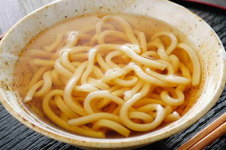 Udon Noodle Soup