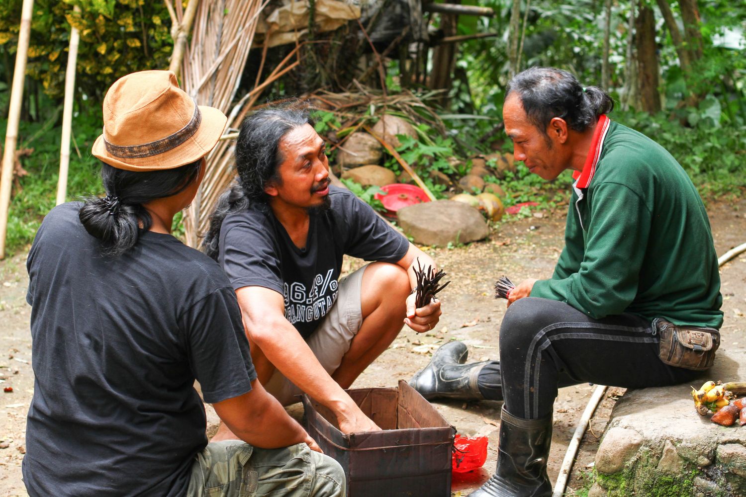 Where Does Vanilla Come From? Discover LittlePod's Real Vanilla