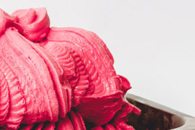 Hibiscus Sorbet Recipe