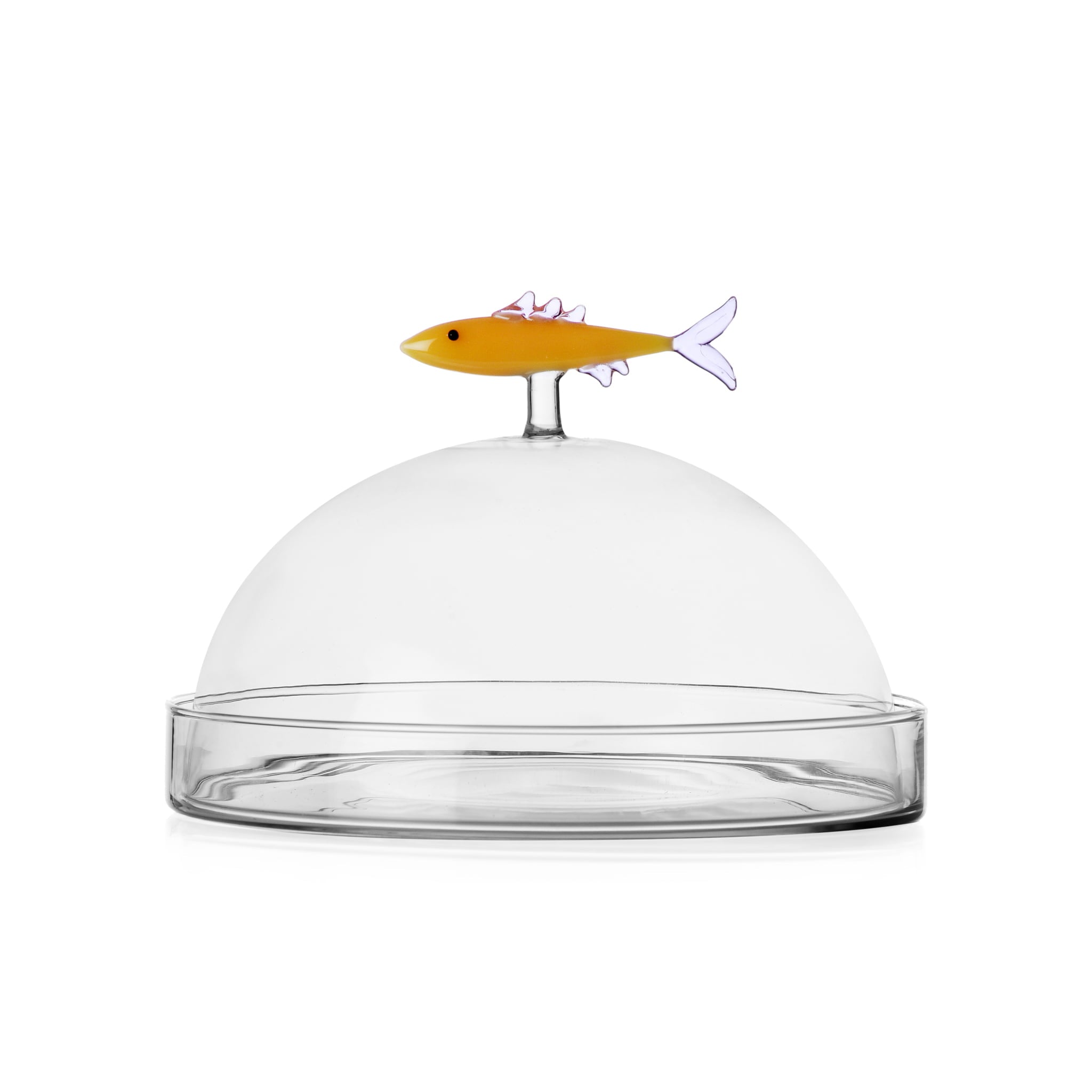 Ichendorf Milano Orange Sardine Snack Plate with Cloche, 20x14cm