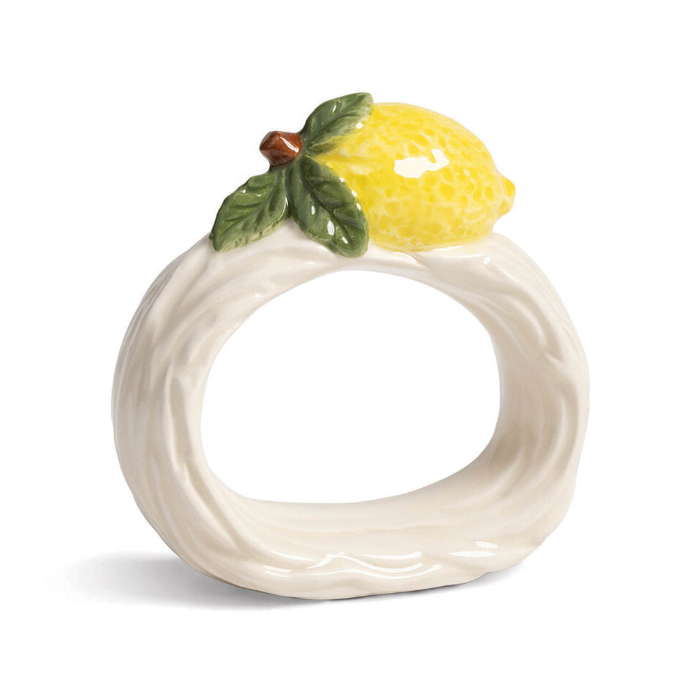 Set of 4 Ceramic Fruit Napkin Holders