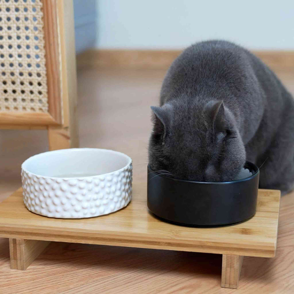 Sushi Roll Dog Bowl Set