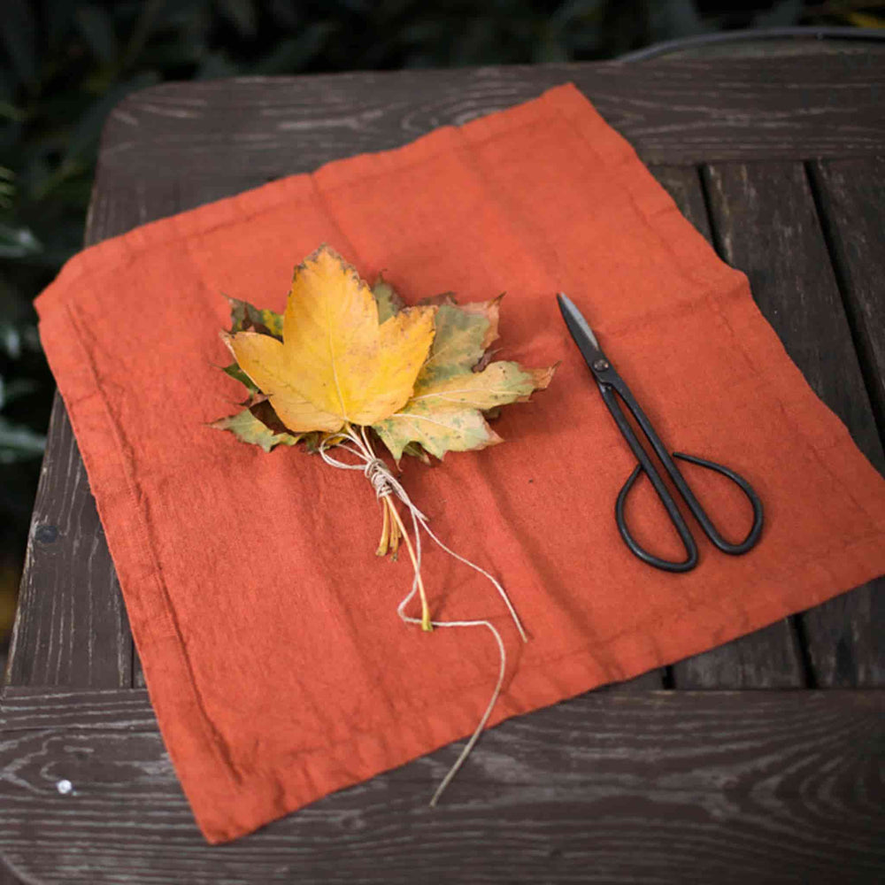 Set of 2 Rust Linen Napkins