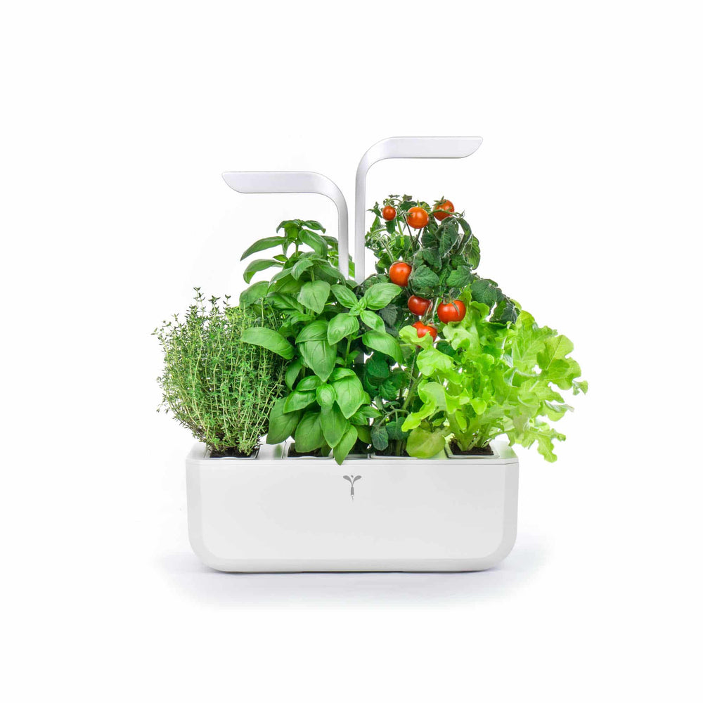 Veritable Classic Indoor Herb Garden