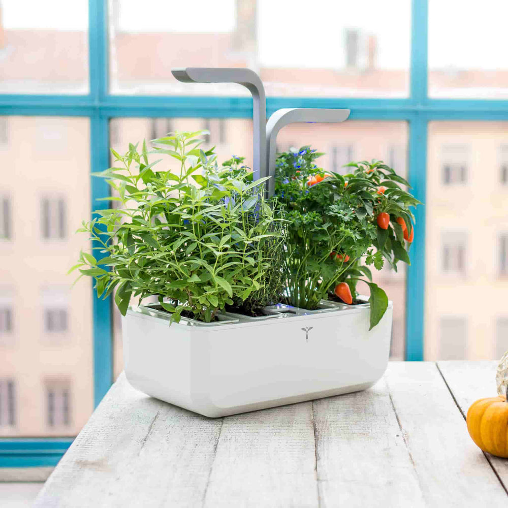 Veritable Classic Indoor Herb Garden