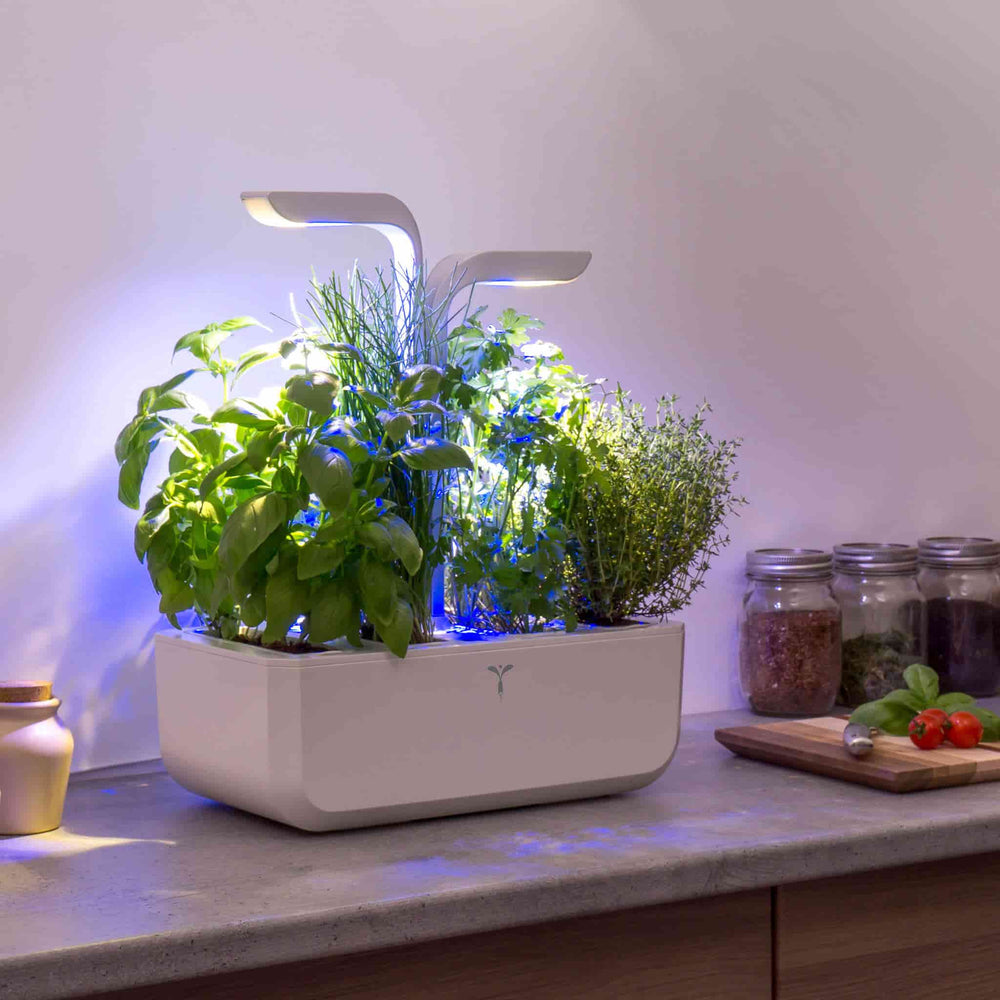 Veritable Classic Indoor Herb Garden