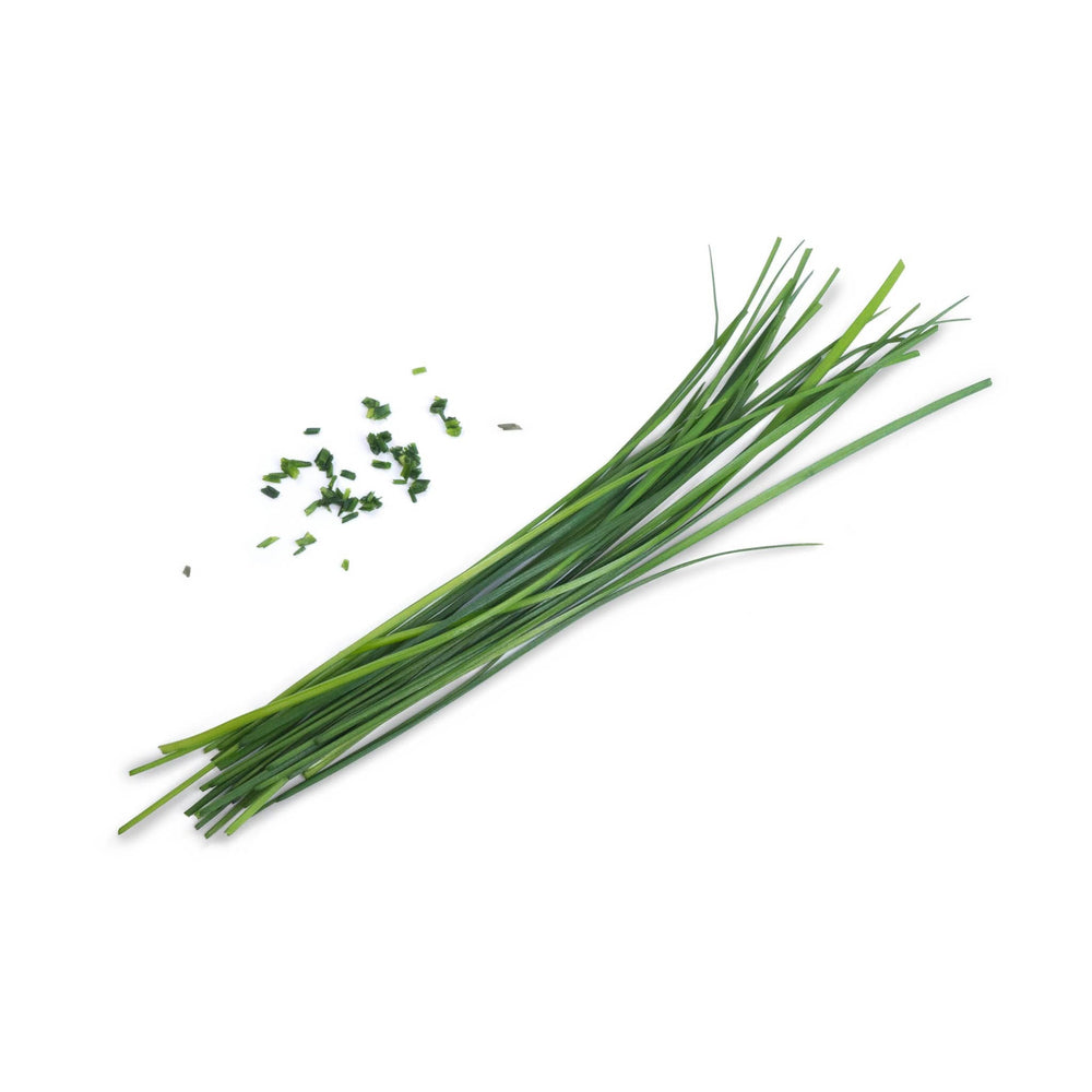 Veritable Asian Lingot Insert, Organic Chinese Chives