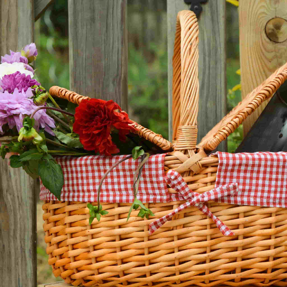 Campagne Red Gingham Empty Picnic Basket