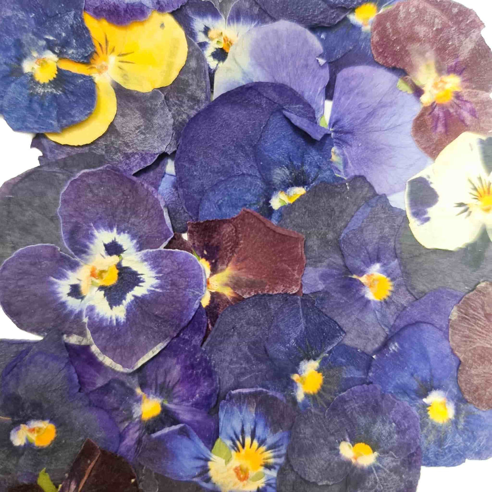 Edible Dried & Pressed Violas, 25 pieces